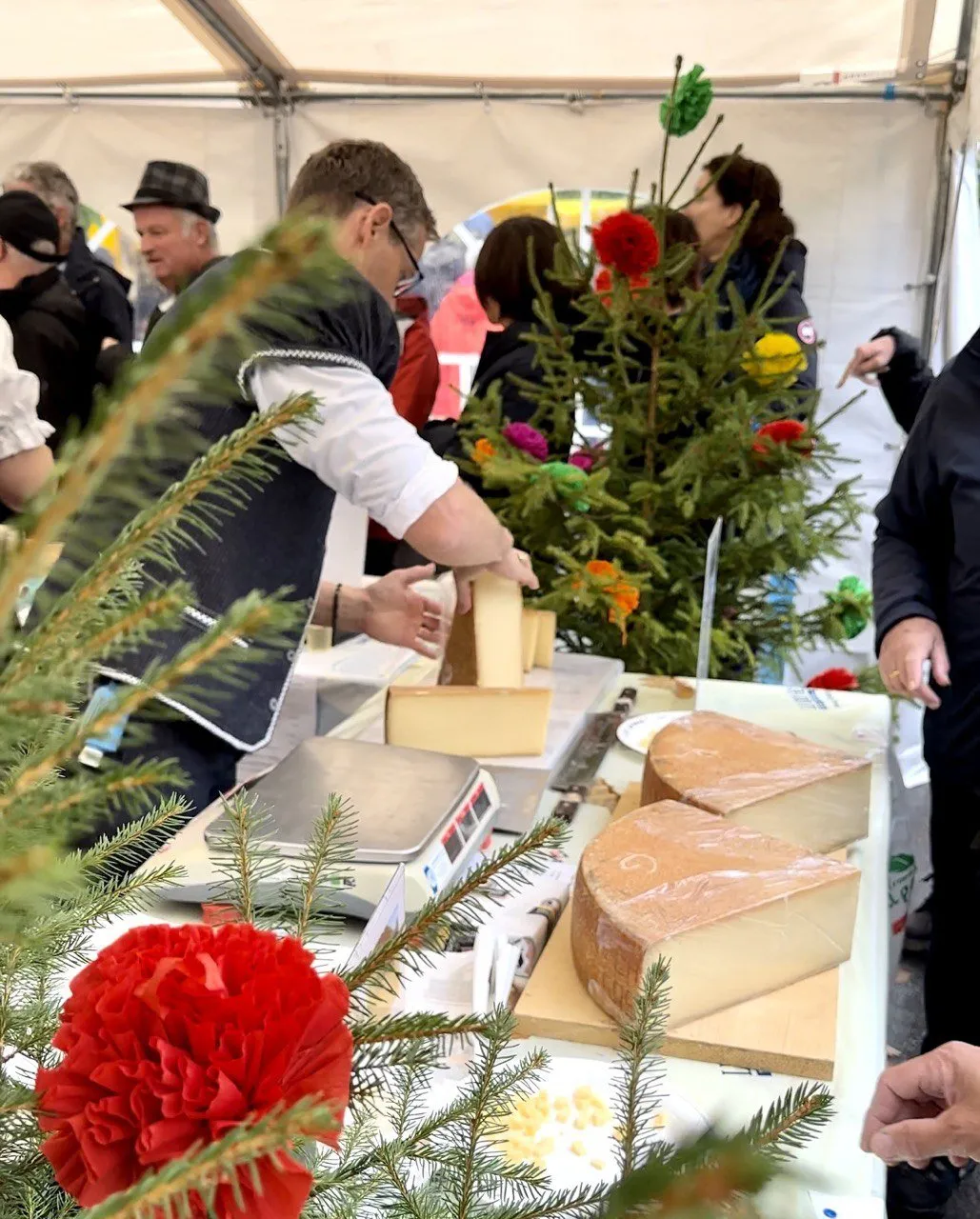 Cheese Events in Switzerland Swiss Or Miss